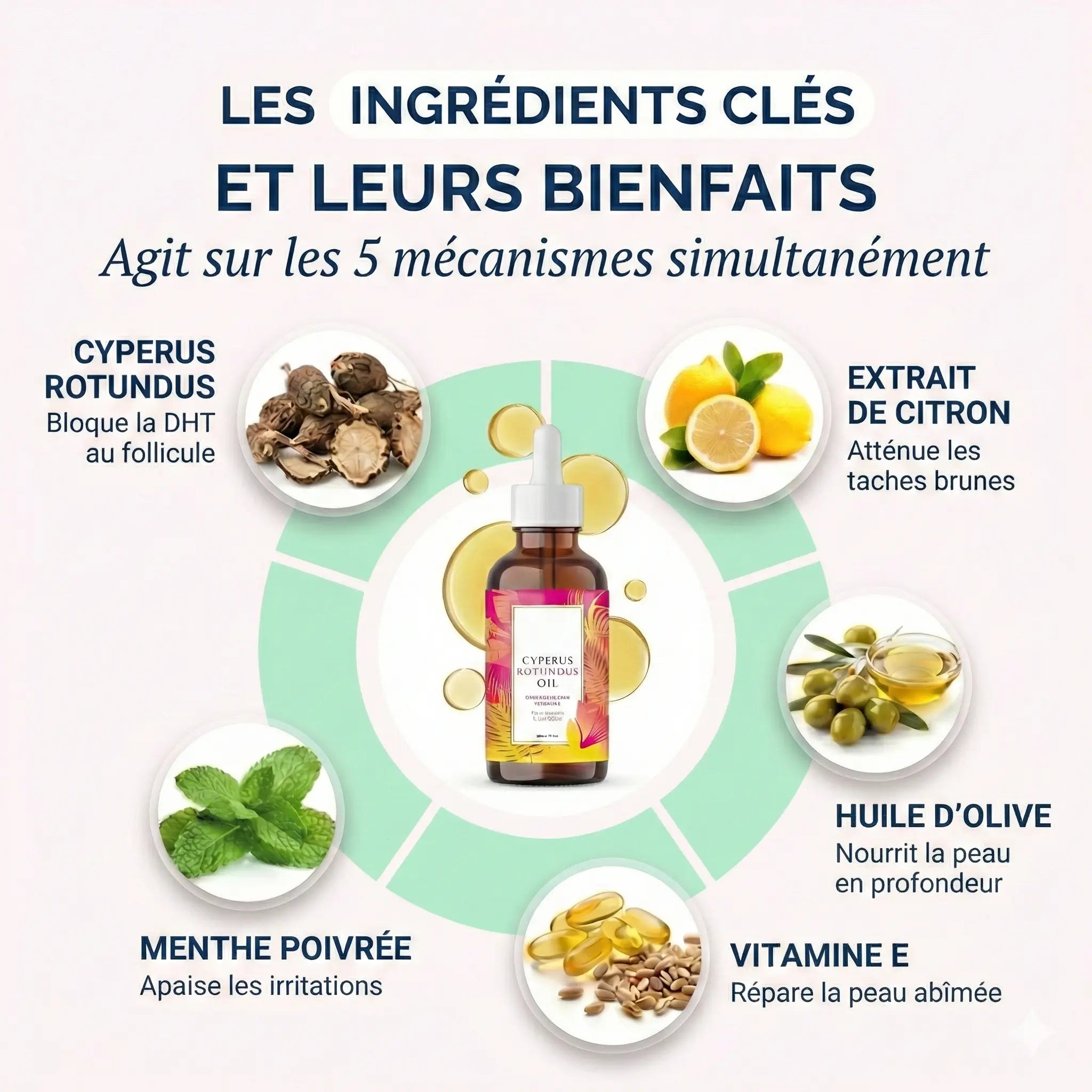 Beaulyne Sérum à la Cyperus Rotundus – Stoppe naturellement la repousse des poils indésirables